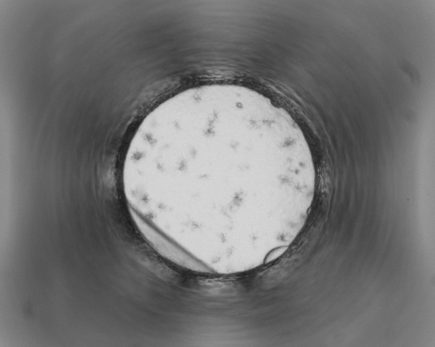 X0000111930516200909071241