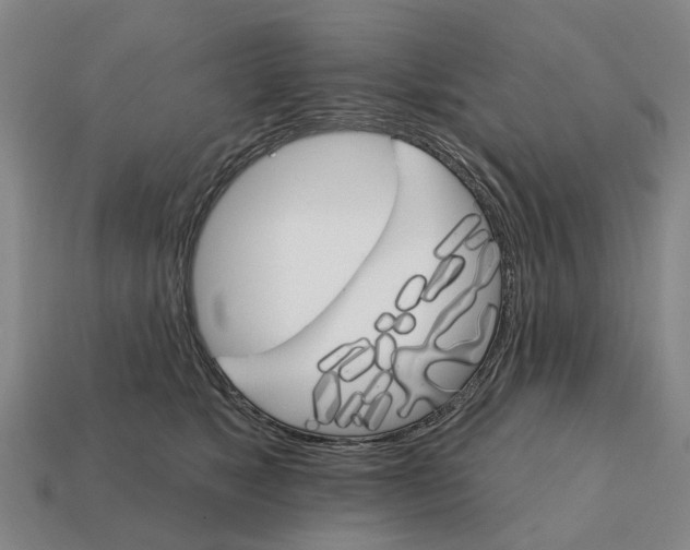 X0000111930517200909071241