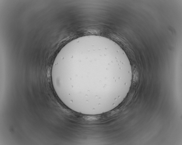 X0000111930518200909071241