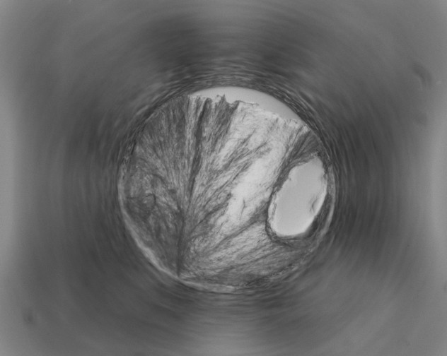 X0000111930519200909071241