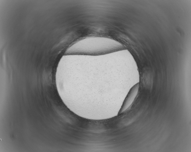 X0000111930520200909071241