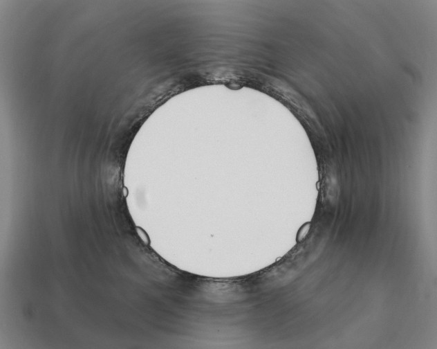 X0000111930521200909071241