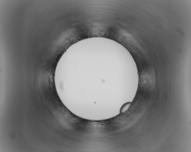 X0000111930522200909071241