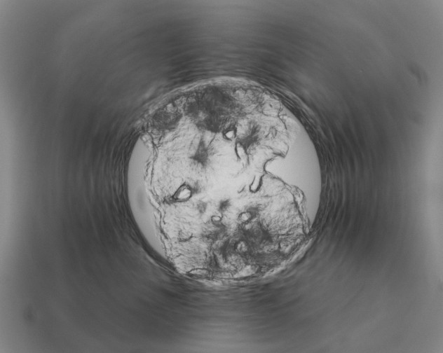 X0000111930523200909071241