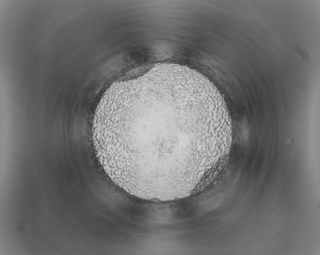 X0000111930524200909071241