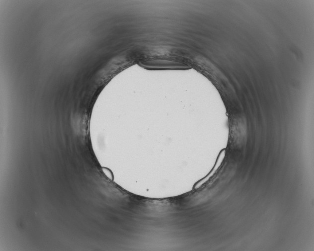 X0000111930525200909071241