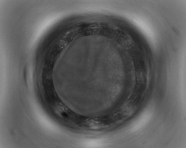 X0000111930526200909071241