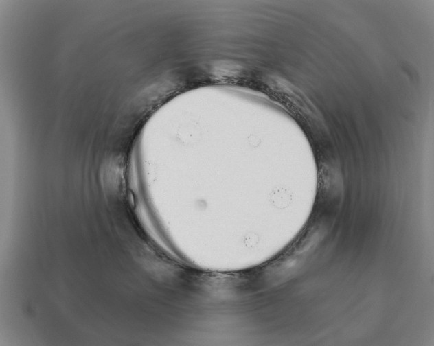 X0000111930527200909071241