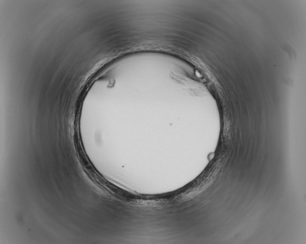 X0000111930530200909071240