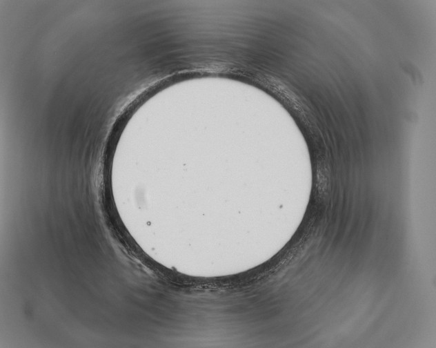 X0000111930532200909071240