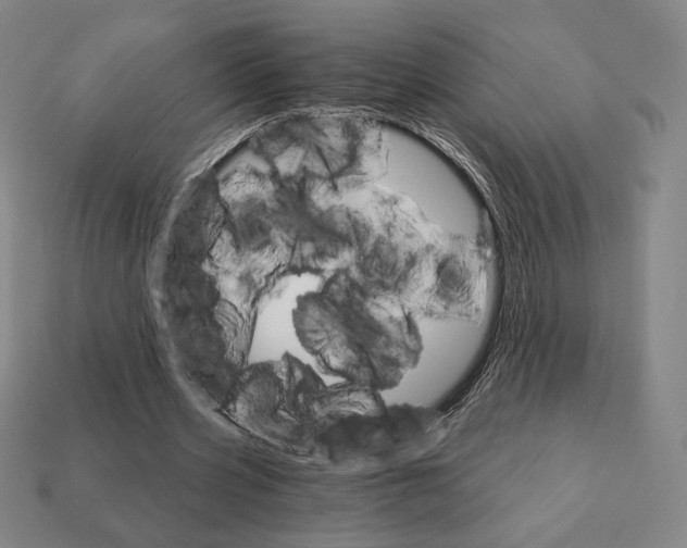 X0000111930533200909071240