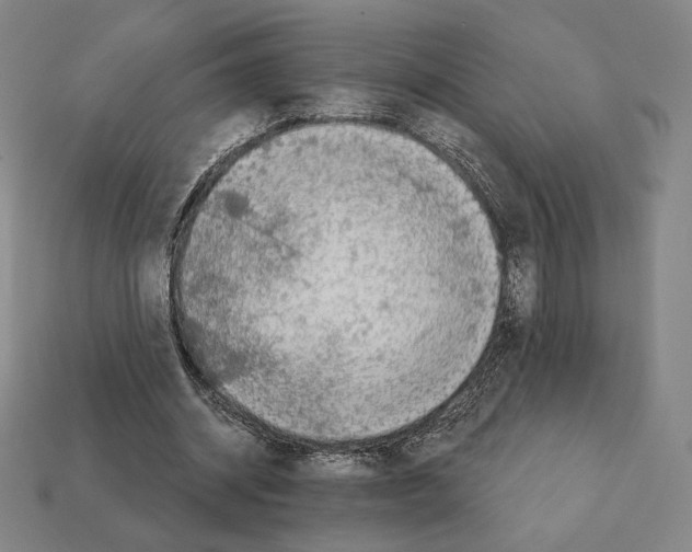 X0000111930534200909071240