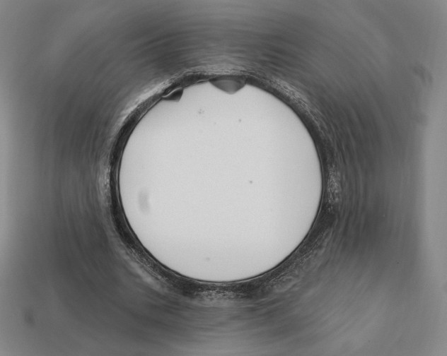 X0000111930535200909071240