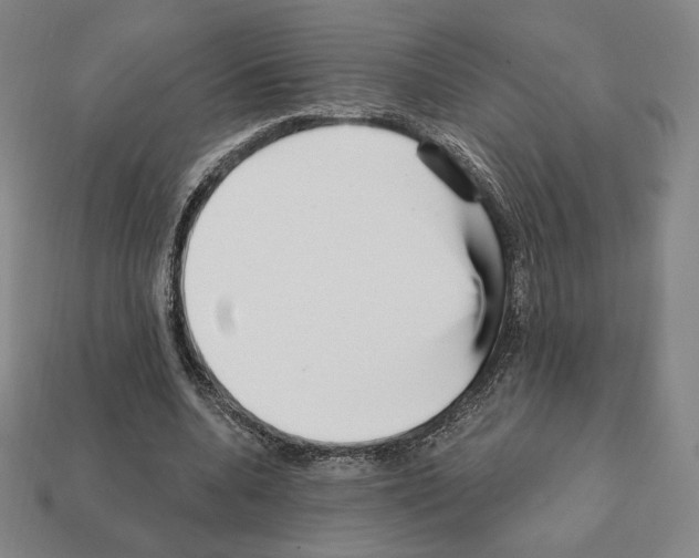 X0000111930536200909071240