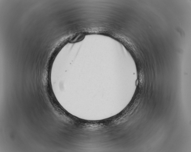 X0000111930540200909071240