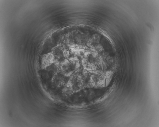 X0000111930541200909071240