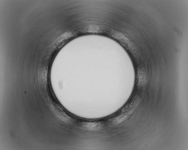 X0000111930542200909071240