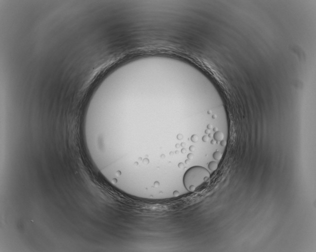 X0000111930543200909071240