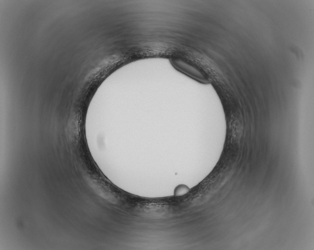 X0000111930546200909071240