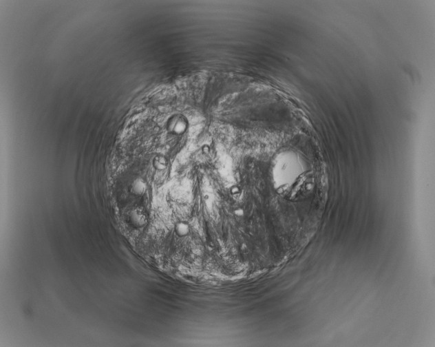 X0000111930550200909071241