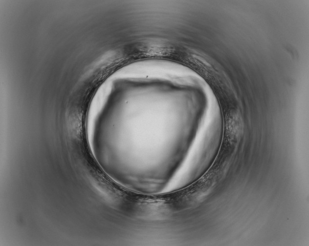 X0000111930554200909071241