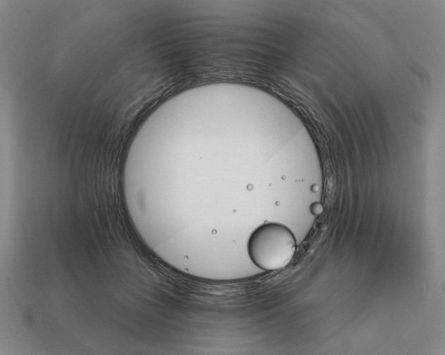 X0000111930555200909071241