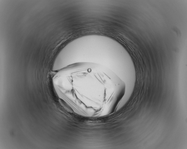 X0000111930556200909071241