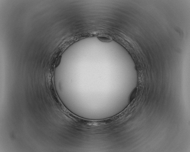 X0000111930558200909071241