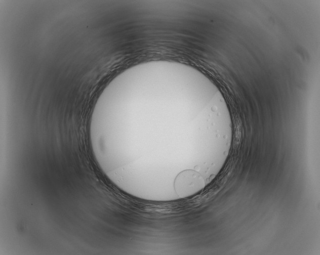 X0000111930559200909071241