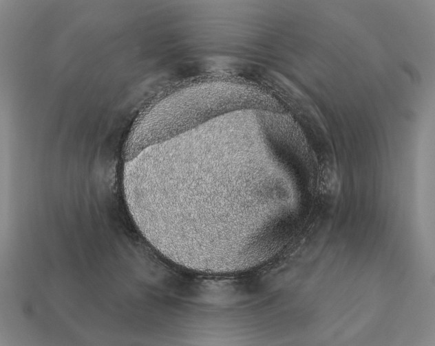 X0000111930560200909071241