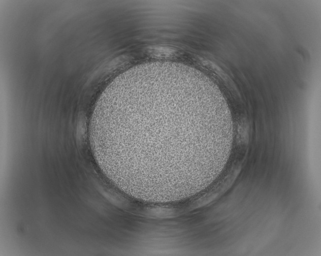 X0000111930561200909071241