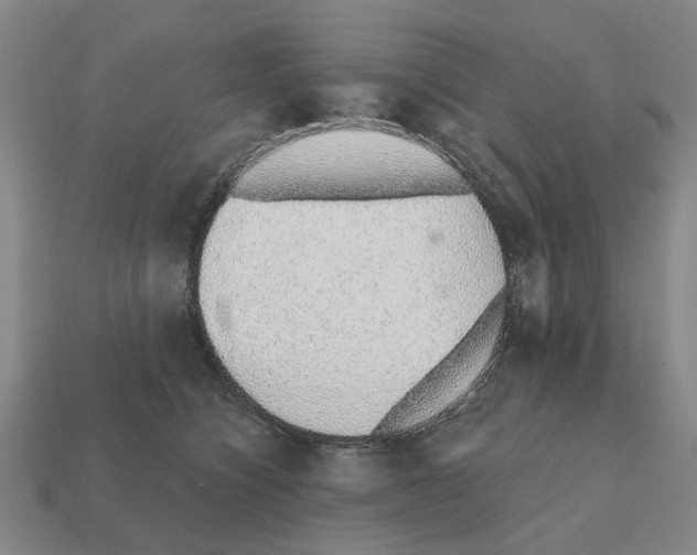 X0000111930564200909071241