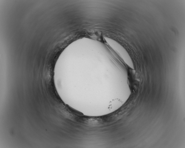 X0000111930566200909071241