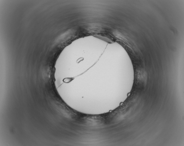 X0000111930567200909071241