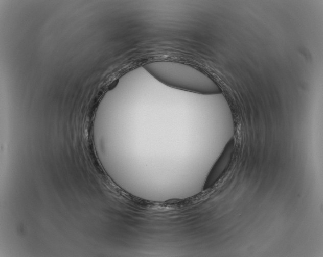 X0000111930570200909071241