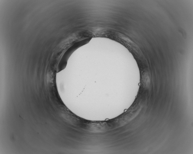 X0000111930571200909071241