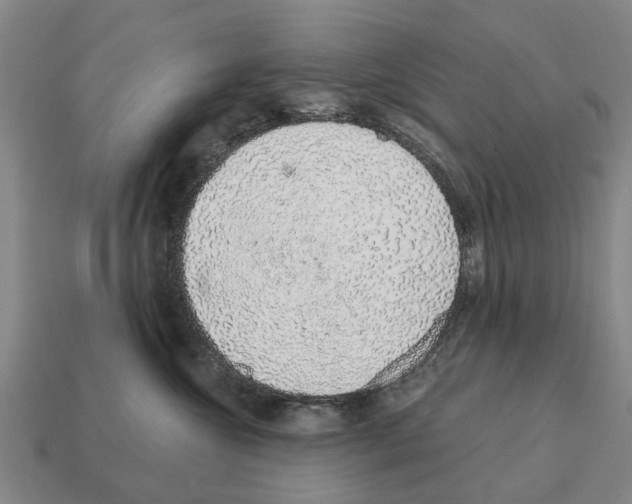 X0000111930572200909071241