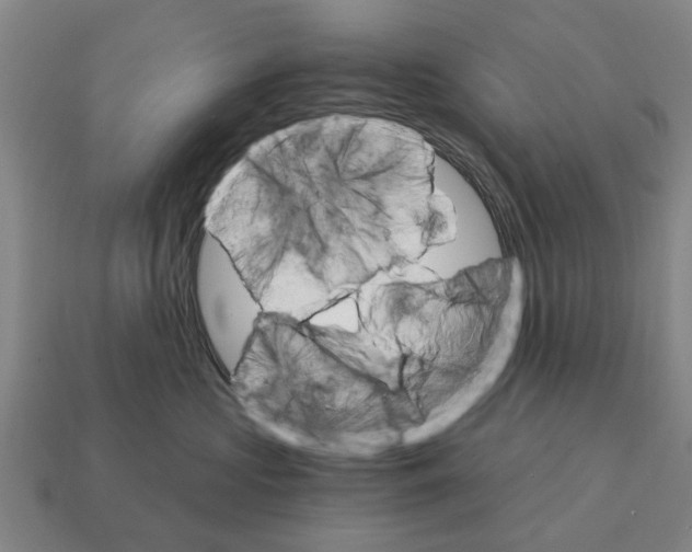 X0000111930573200909071241