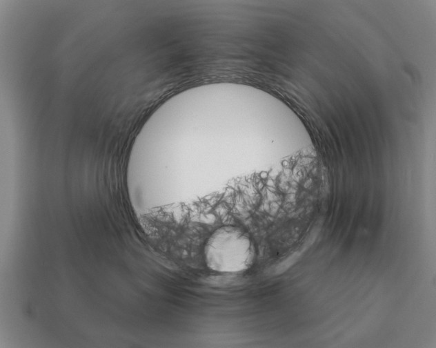 X0000111930575200909071241