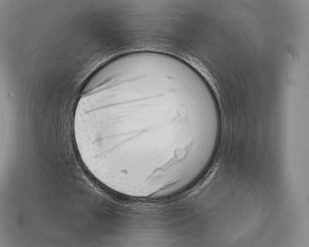 X0000111930577200909071240