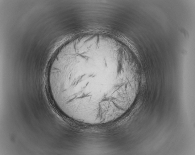 X0000111930578200909071240