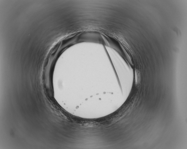 X0000111930579200909071240