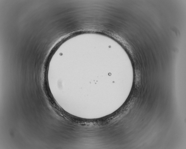 X0000111930580200909071240