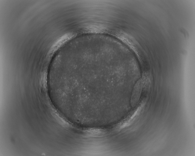 X0000111930581200909071240