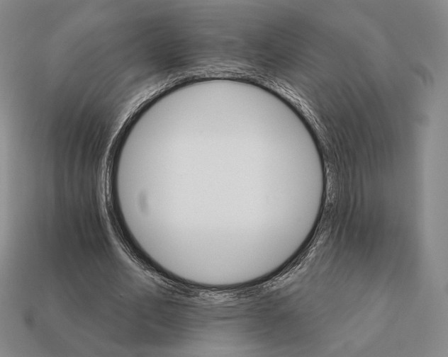 X0000111930582200909071240