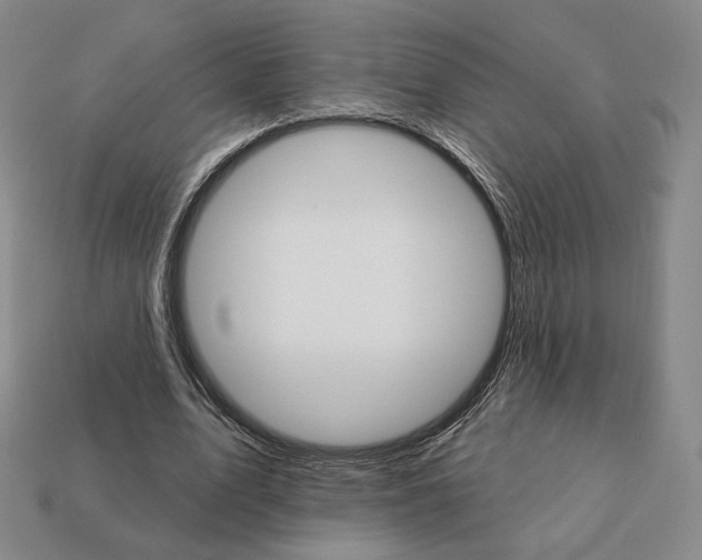 X0000111930583200909071240