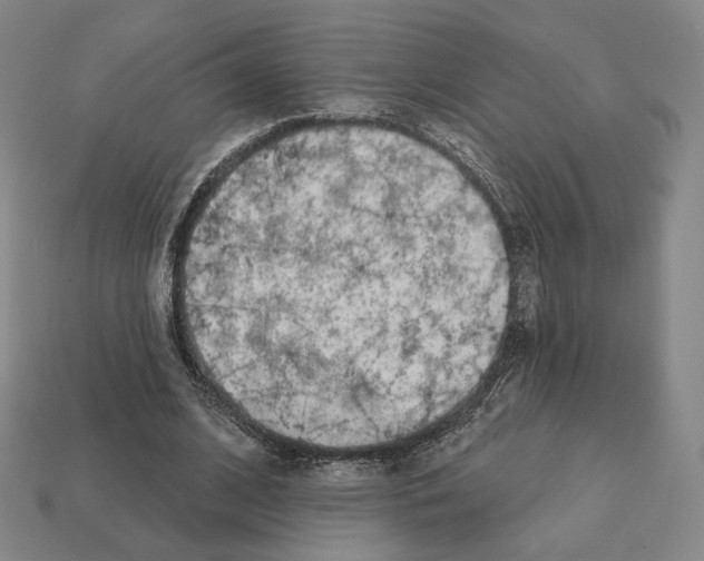 X0000111930584200909071240