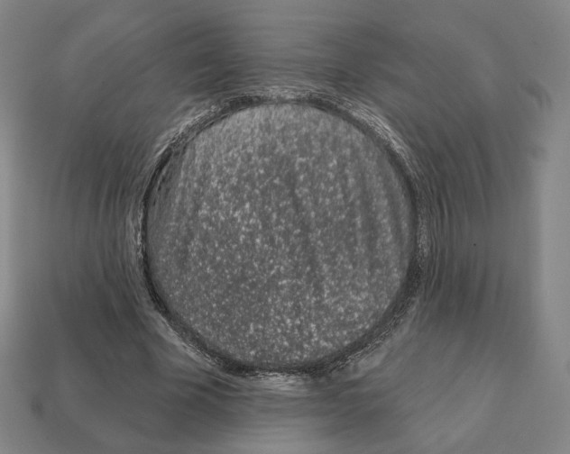 X0000111930585200909071240