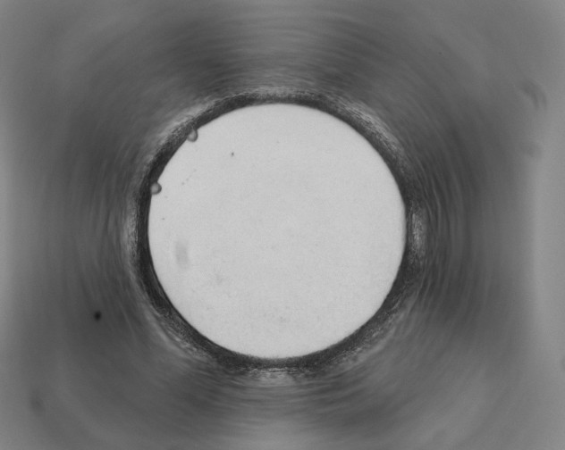 X0000111930588200909071240