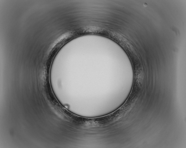 X0000111930591200909071240